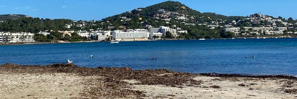 destination_ibz's profile banner image