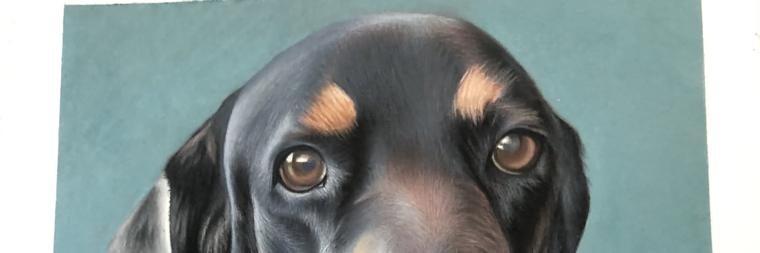 V  ורוניקה banner