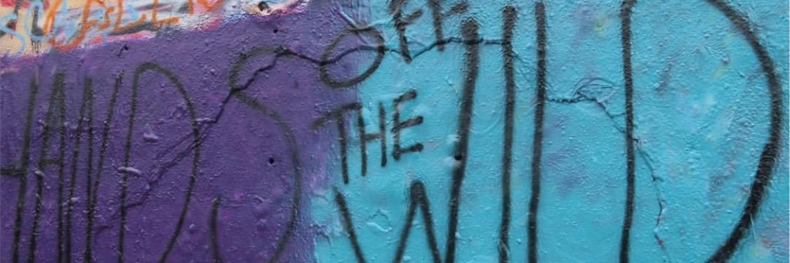 Handsoffthewild's profile banner image