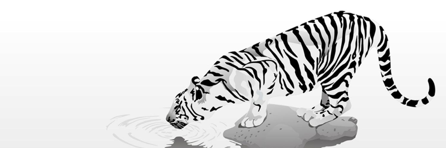 Breizhtiger's profile banner image