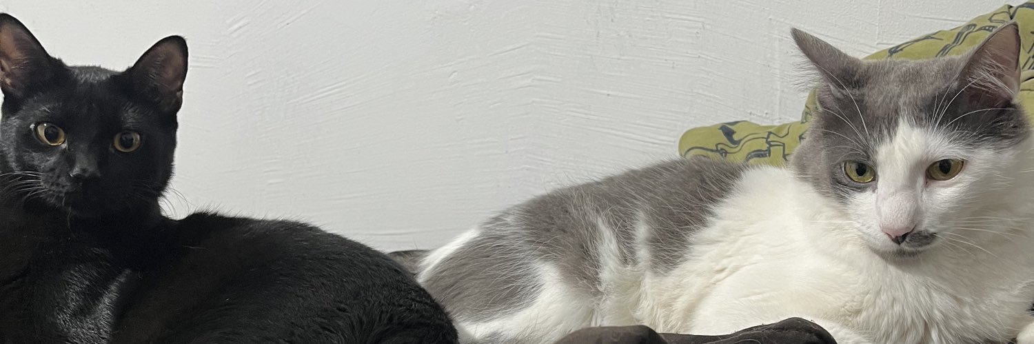 dahsxx's profile banner image