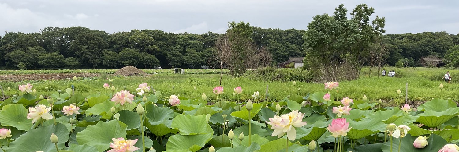 okinokuma's profile banner image