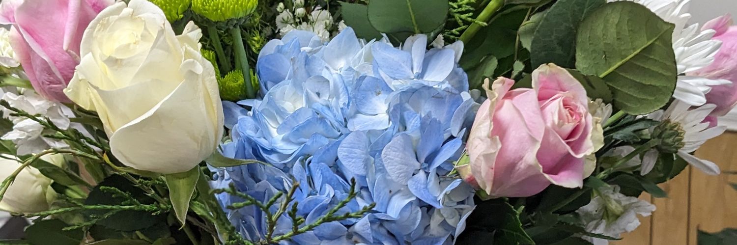 something for everyone banner