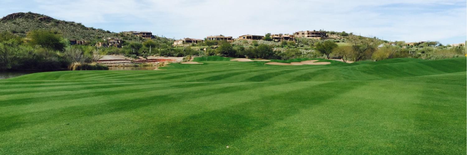 Chris Twibell banner