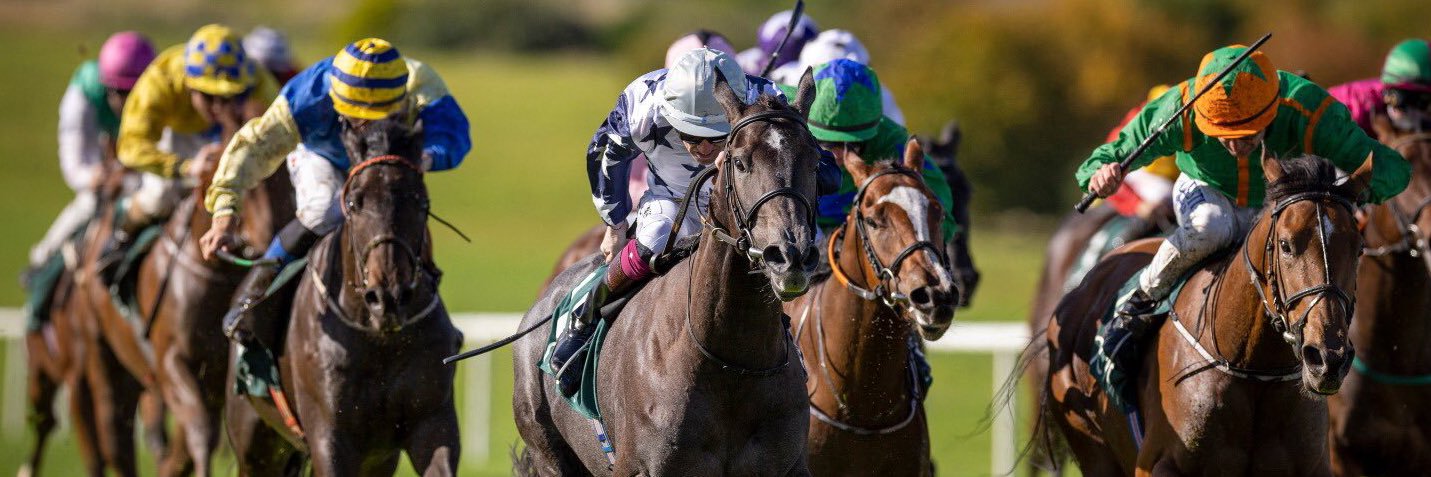 Nathan crosse banner