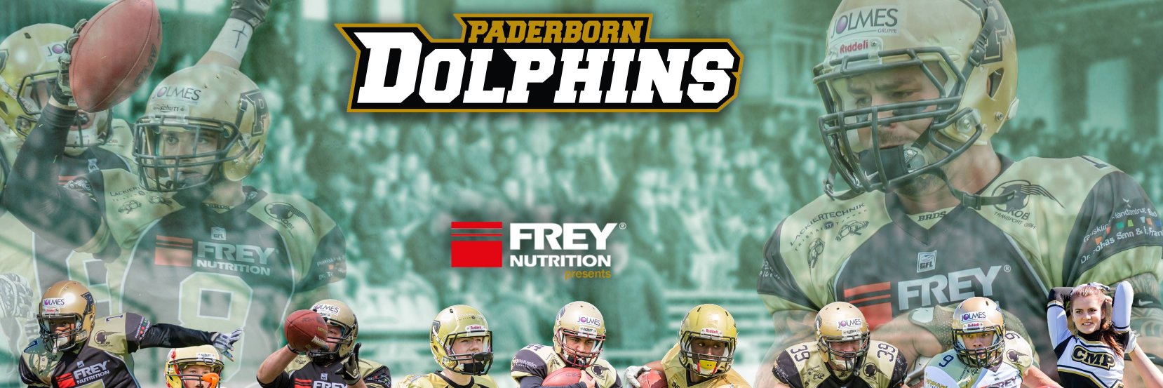 Paderborn Dolphins banner