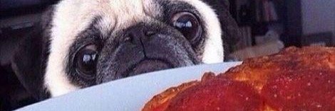 laurenarm_'s profile banner image