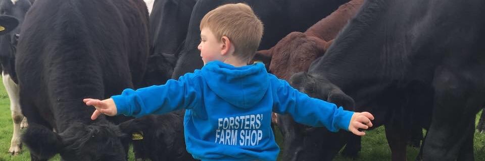 OrganicMeatUk's profile banner image