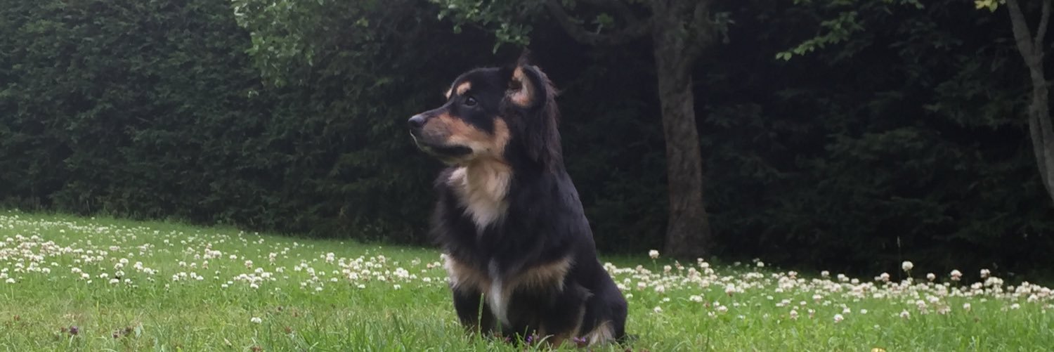 laussa's profile banner image