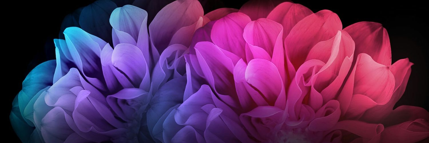 nimelssa_'s profile banner image