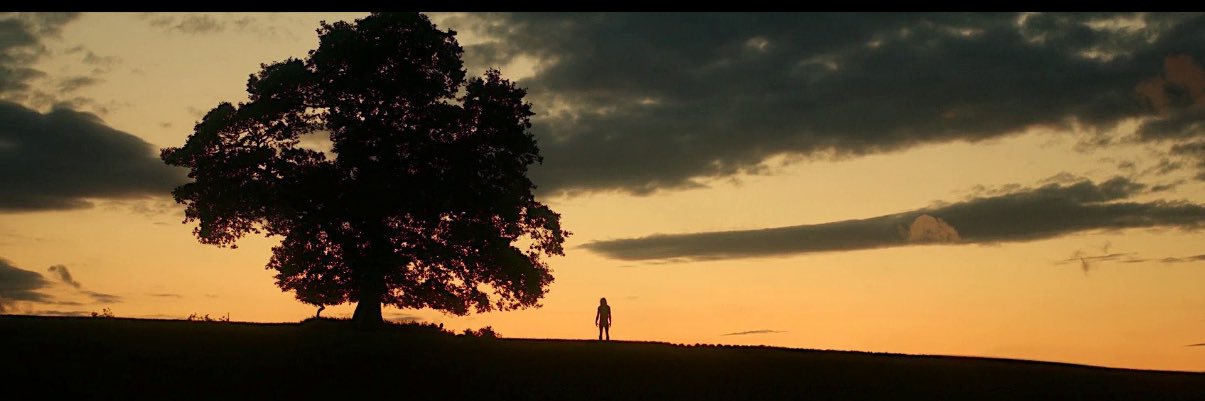 WashingtonianF's profile banner image