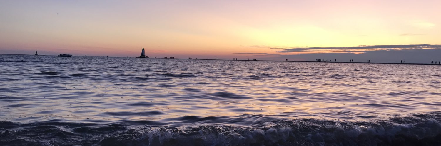 tayloraroark's profile banner image