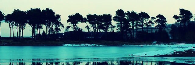 Yancylito's profile banner image