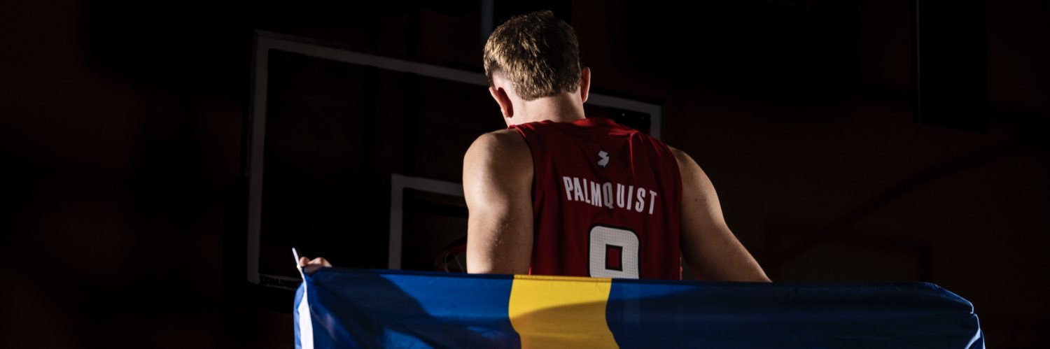 oskarpalmquist's profile banner image