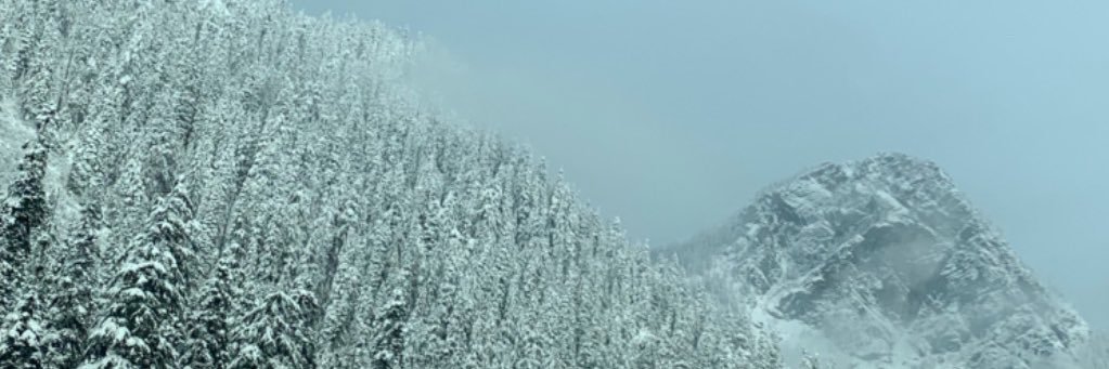 DryBones's banner