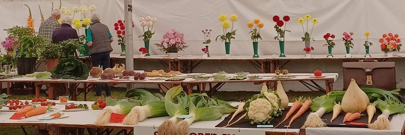 The Warkworth Show banner