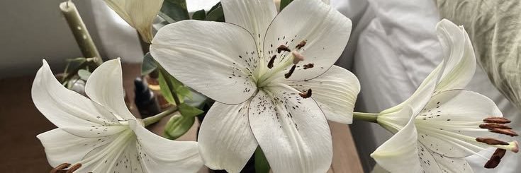 ready GIG, robux vilog 🐰 banner