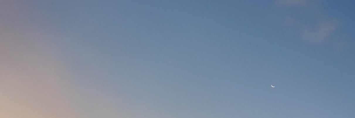 lexugbo's profile banner image
