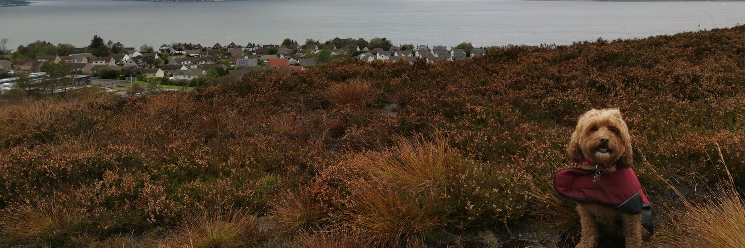 Kieron__'s profile banner image