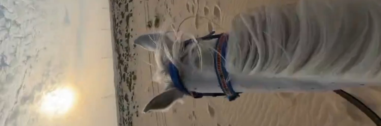 ‏مــنال banner