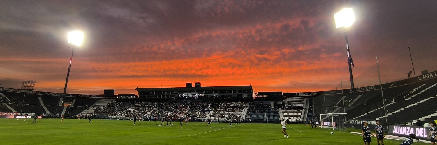 Aʟᴠᴀʀᴏ Mᴀɢᴏ banner