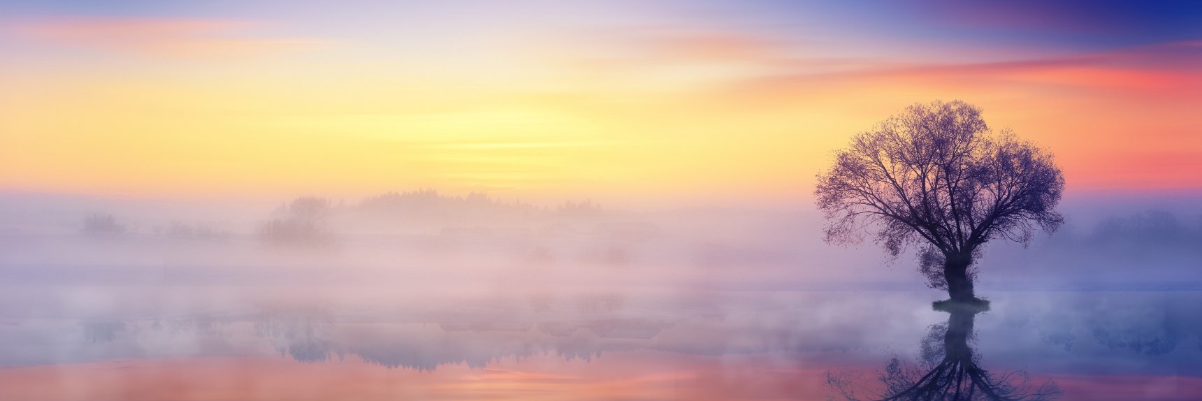 smansori's profile banner image