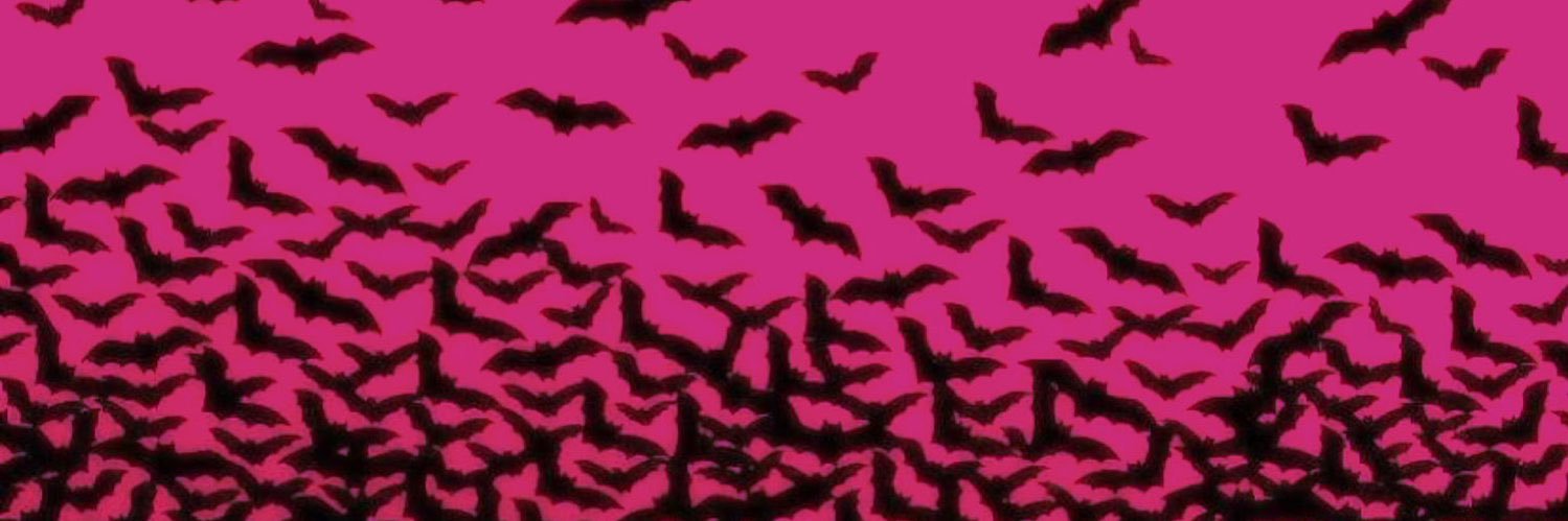 Ellie⚡️ banner