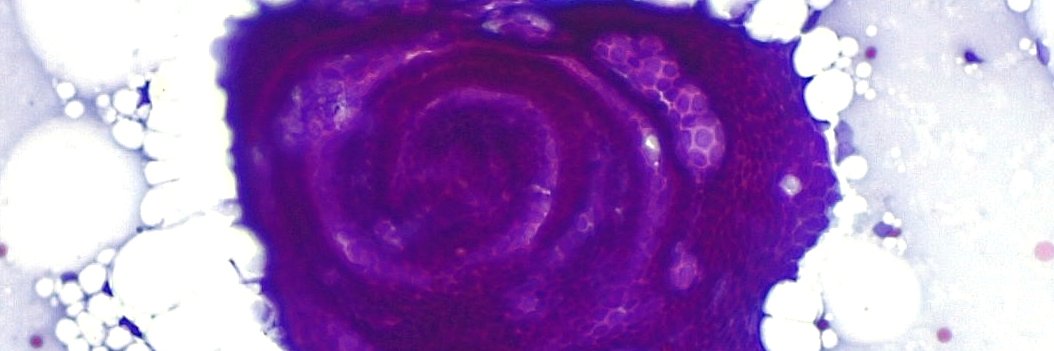 Jamal Musayev, MD, MIAC banner