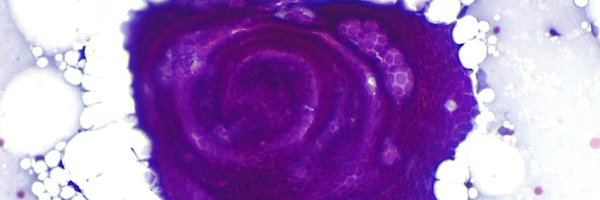 JM_CytoBox Profile Banner