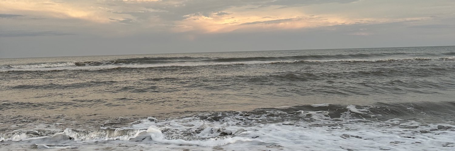 violesercos's profile banner image