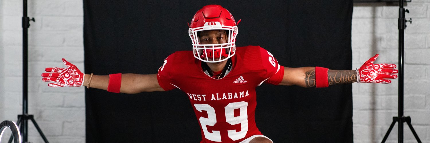 Jaden “Holliwood” Taylor™ banner