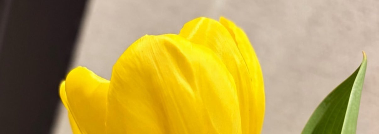 AndreGoetzz's profile banner image