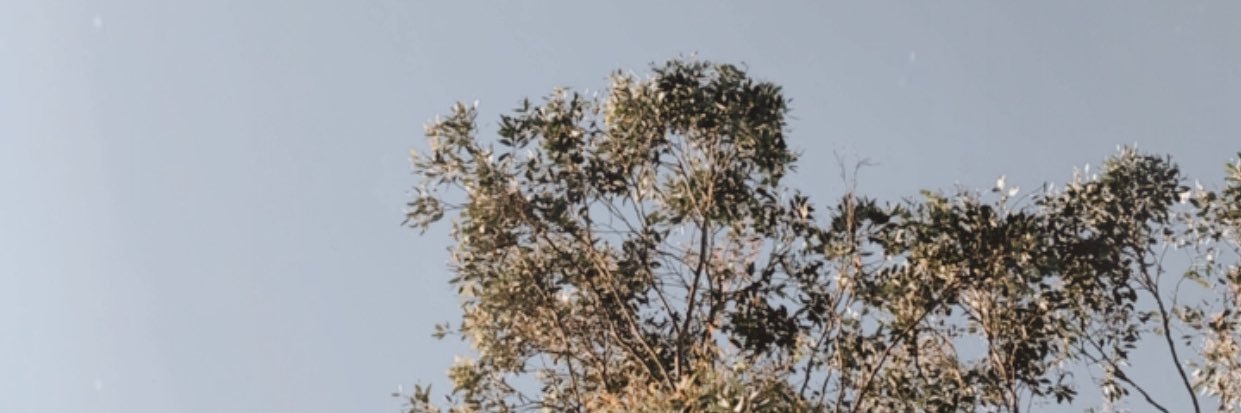 HaiCatherine's profile banner image