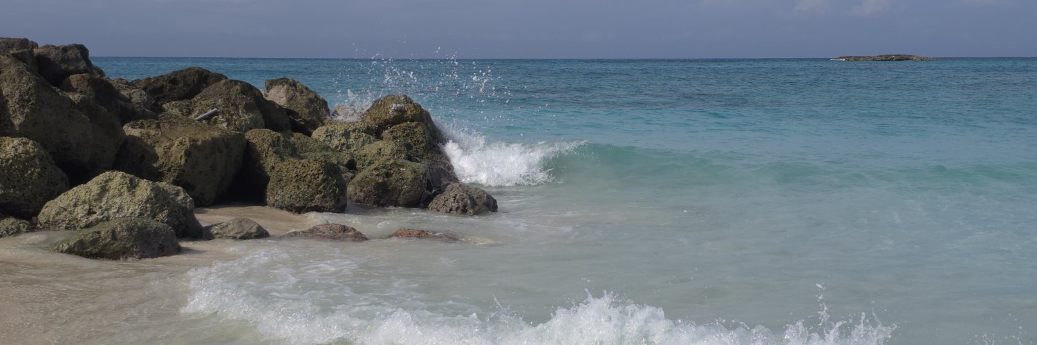 agneswesley64's profile banner image
