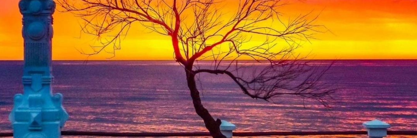 CarlosCruz53's profile banner image