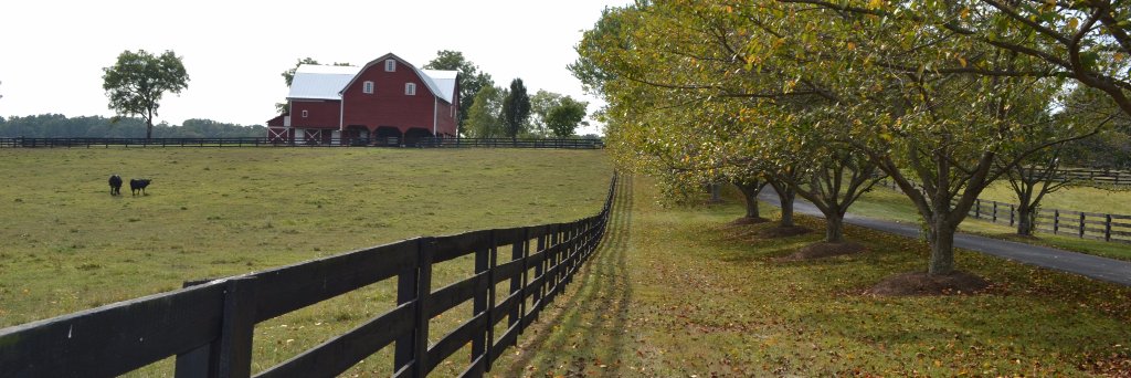 redaugustfarm's profile banner image