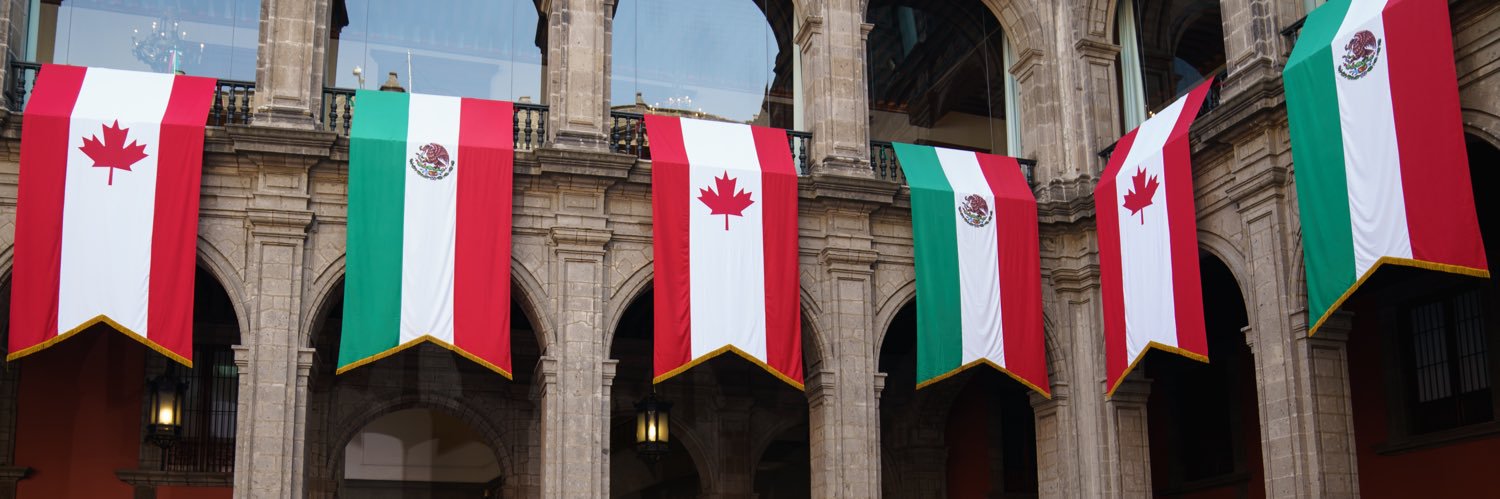 Shauna Hemingway banner