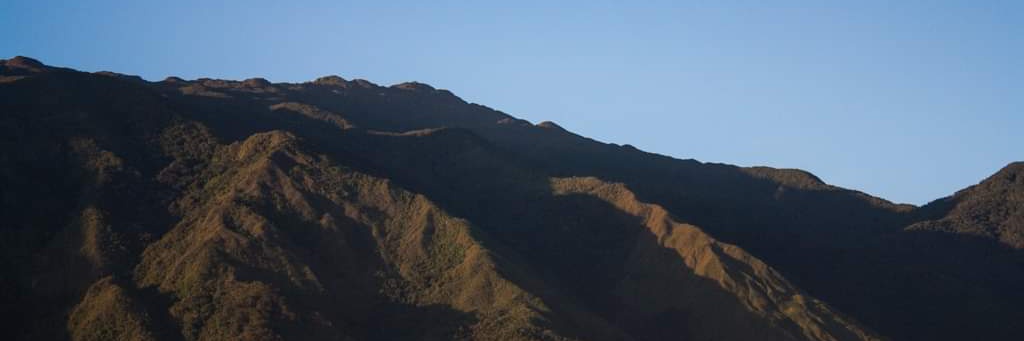 ferpaz72's profile banner image