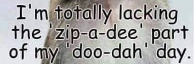 Sally #bekind #AUTISMmum n #socialist 😍 banner