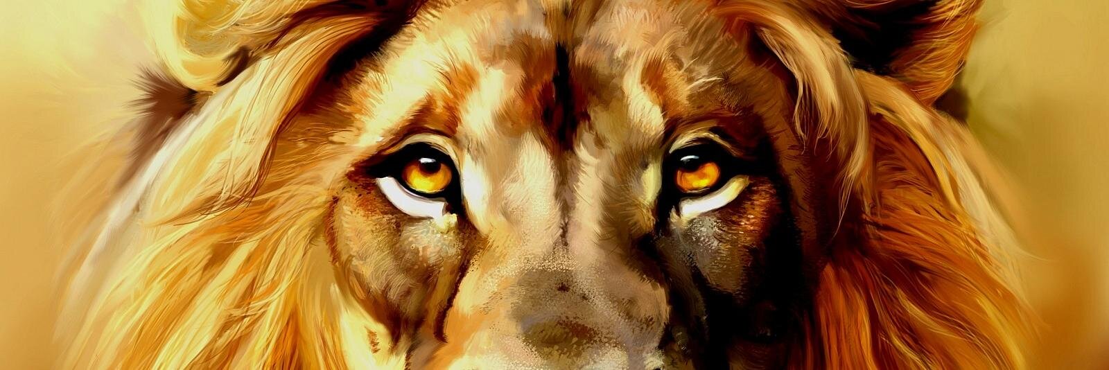 mooorphinee's profile banner image
