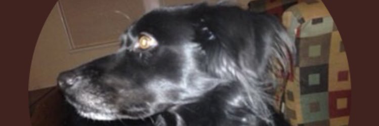 will banner