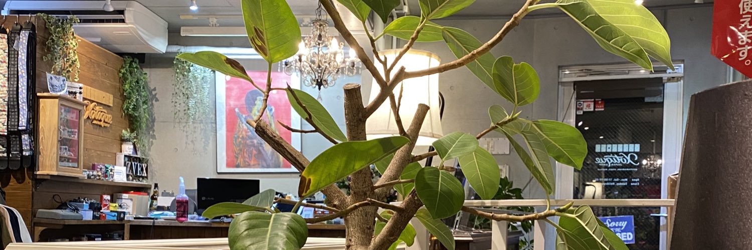 Xotique Japan Shop赤坂【エキゾティーク】 banner