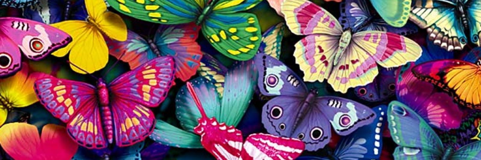 verito_ss's profile banner image