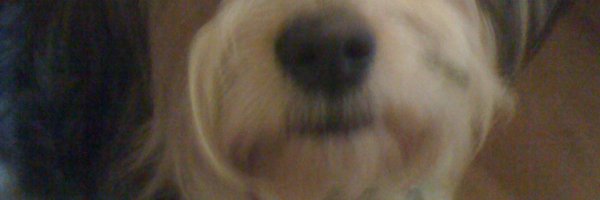 blwmailbox Profile Banner