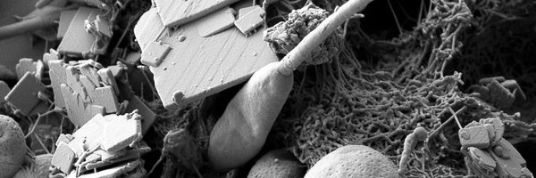 raw9371 Profile Banner