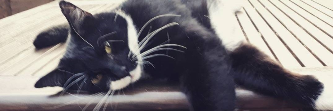 Louise K banner
