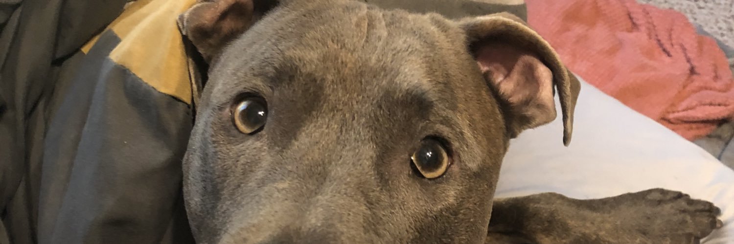 CarterVillers's profile banner image