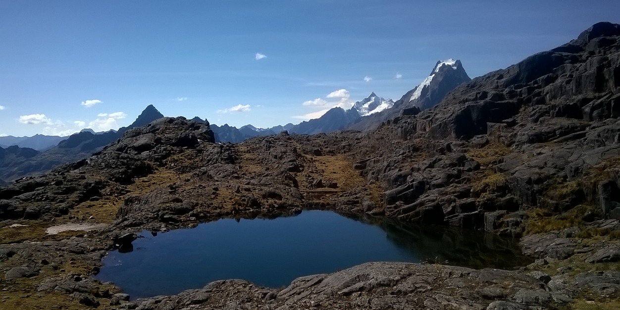 Katrien Van Oost banner