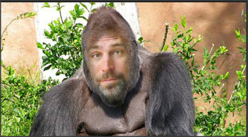 Grégory Danlabrume banner