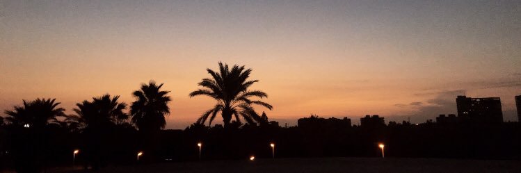 Julie Kebbi جولي الكبي banner